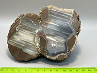 alternating white and gray thin layers of agate surrounded by a brown outer rock rind.
